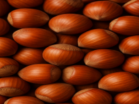 Hazelnuts