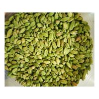 Green cardamom for sale in wholesale price premium quality spice available in bulk