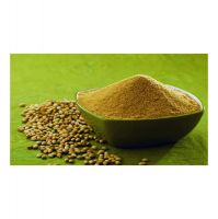 High quality Coriander Leaf Powder Coriander extract powder
