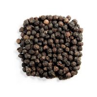 High quality black pepper prepared for large volume trade and fast delivery
