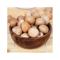 Betel Nut bulk supply wholesale price premium quality stock fast delivery service