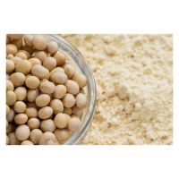 Premium soybeans meal available in bulk for export and wholesale trade