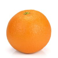 Valencia Oranges Fresh Produce Citrus Fresh Fruits Bulk Orange Fresh Citrus Fruit
