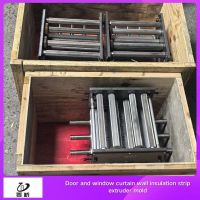 Customized curtain wall window and door equipment PA66 GF25 insulation strip extrusion machine mold