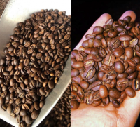 Arabica coffee beans 100% organic