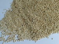 Small White Sesame Seeds (Single Skin)