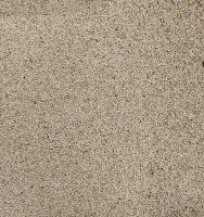 Buy Sesame Seeds | Un-Hulled | White( Single Skin) Creamy, Black( Single Skin)  and Brown