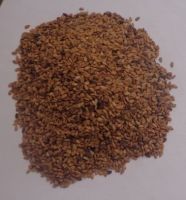 Brown Sesame seeds available for sale in bulk and wholesale price Premium-quality