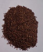 Sesame Seed Supply - New Crop