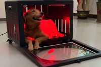 GLPE Red Light Therapy Crate PT