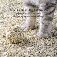 Plant-based Cat Litter Eco-friendly