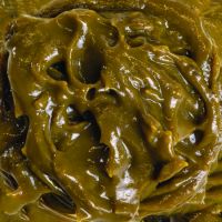 Ecklonia Maxima Concentrate