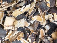 Raw Ecklonia Maxima Kelp Dried Chips