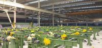 OCTG production line