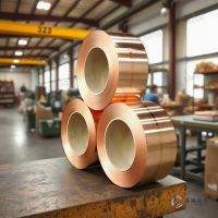 PHOSPHOR BRONZE STRIPS - FOR REFRIGERATOR