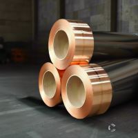 Tin Phosphor Bronze Plate/Strip (C5191