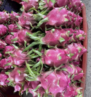 Vietnam Natural Fresh Dragon Fruit For