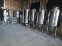 300L craft brewing equipment