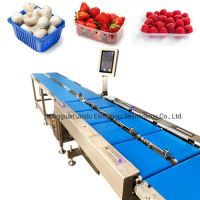Strawberry, Raspberry, Mushroom Weighing Packing Production