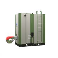 TGBoiler ZWLH Series Oil &amp