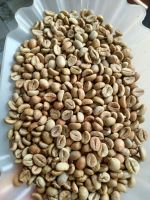 Robusta Coffee Beans