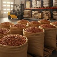 Most Popular Nut Natural Almonds 22/25 25/27 Premium Pure Quality Sweet Almond Nuts for Making Nut Chocolate