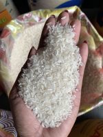 B2B Trade: High-Quality Long Grain White Rice - Current Crop Year