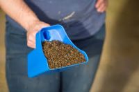 Balanced Nutrition Horse Feed Bulk Supply for Commercial Use