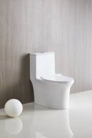 Complete Bathroom Toilet Set With Seat, Tank, And Flush Mechanism