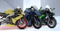 Professional Sportbike with Powerful Engine for Road Performance