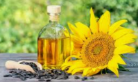 Cold-Pressed Sunflower Oil B2B Export