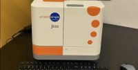 Jess ProteinSimple Automated Western Blot System