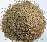 Anise Seeds