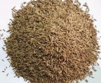 Caraway Seeds