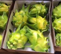 Fresh Dragon Fruit (Yellow Skin / Red
