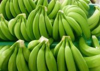 Fresh Cavendish Bananas For Export â
