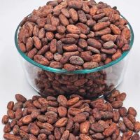 Factory Supply Ivorian Cocoa Beans Madagascar Cocoa Beans Robusta Green Coffee Beans