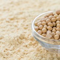 Food Grade Soy Protein Isolate for Dairy Alternatives and Beverages