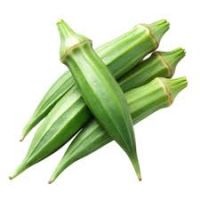 Fresh Okra