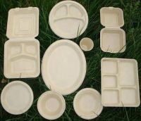 Bagasse Plates
