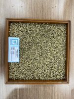 Arabica Coffee Beans 