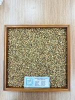 Robusta Coffee Beans 