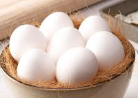 WHITE EGGS