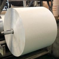 White PE Coated Paper Roll