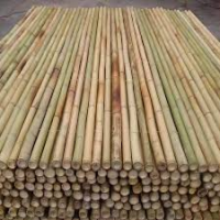 Bamboo  Sticks