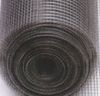 Welded Wire  Mesh