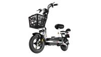 Electric Bike Small Style Model E-scooter 350W Eelctric Motor