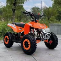 125CC  All Terrain Beach Bike Four