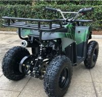 All Terrain Beach Bike Four Wheels Off-road Motorcycle Electric Mountain Bicycle 500W