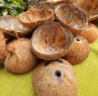 Coconut Shell Wholesale Supplier Export Quality